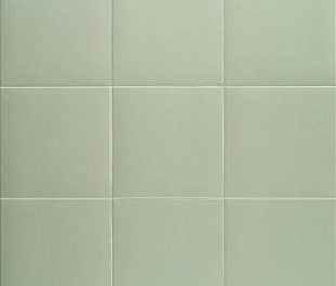 Technical Basil 20х20