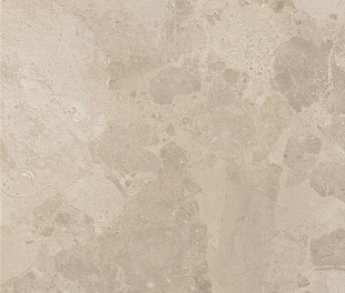 BLOOMSTONE SHELL 60X120 RT