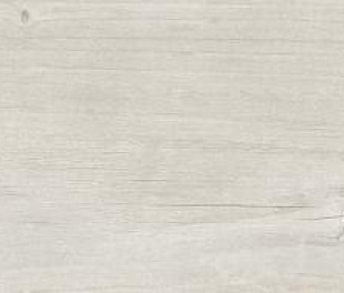 QUERCUS BETULLA 22X120