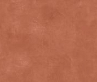 RTN6 CARMI278RM 120x278