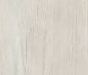 Плитка QUERCUS BETULLA 22X120