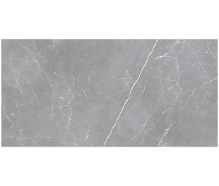 Arion Gray Dark 61х121 (Новая партия), 20мм