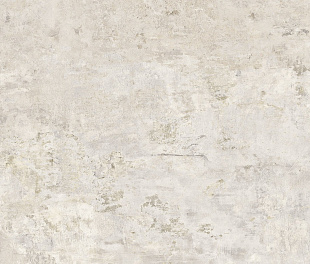 Evoke White Natural 50x100