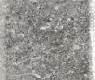 Плитка из керамогранита Ragno Bistrot 7х28 серый (R4SX)