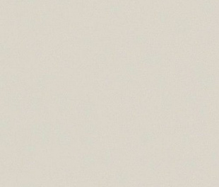 ARCH.WHITE LEVIGATO (4957052_sklad) 60x60