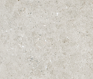 Керамогранит Bera&Beren Light Grey Natural 6mm 120x270