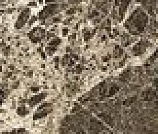 Плитка из керамогранита Estima Elegant 7x60 коричневый (EL03)