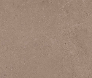 GO01 60x60x9 Непол.Рект. (Керамический гранит)