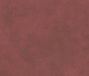 Плитка из керамогранита Simpolo Simpolo 120х278 коричневый (MPL-060340)