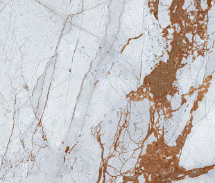 CANOVA ROYAL BLUE RET 60x120  8,5 мм