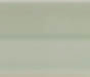 31152 Vitral Axis Mint 5х40 (60уп)