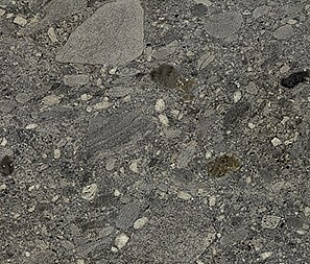 Ceppo Nero Rett 60х120