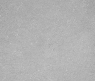 Дайсен Керамогранит светло-серый SG211200R / SG207900R 30х60  9мм (Орел)