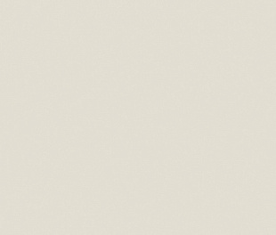YC05 80x160x10 Непол.Рект. (Керамический гранит)