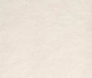 fPA8 Sheer White 80x160 RT