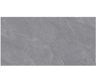 Carbonio Silver 60х120