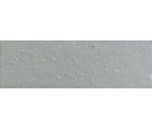 30953 КерГранит KALMA POWDER BLUE MATT 6x18,6 см