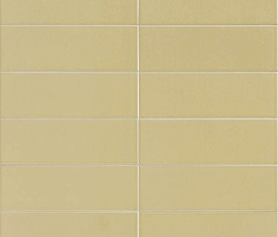 Jungle Sunset 10х30