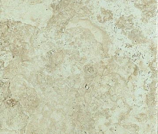 BONE 45.3x75.8 / Instone/ Edimax