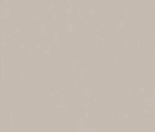 fTDU True Color Fossil 50x120 RT