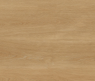 Albero Beige 60х120