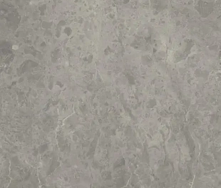 Плитка PORTRAITS ROUEN 60X120 RT