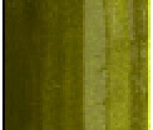 4101258 КерГранит MILANO70 BAMBOO OLIVE 4x31 см