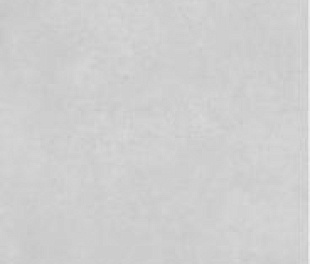 Concrete Expose Light Grey 8144 60x120