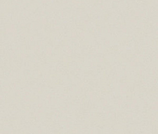 ARCH.WHITE (4790152_sklad) 30x60