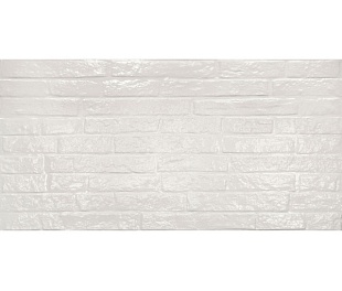 Керамическая плитка STREET WHITE GLOSSY RETT 60X120