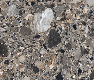 210039 Ceppo Natural Polished 60x60