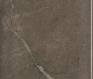 Керамическая плитка для стен Kerama Marazzi Эль-Реаль 9.9x20 коричневый (19053)