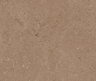 Плитка из керамогранита City Newport 30.6x60.9 коричневый (NP03/NS_R9/30.6x60.9x8N/GW)