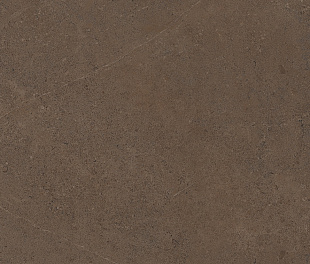 Плитка из керамогранита Estima Gobi 60x60 коричневый (GO03/NS_R9/60x60x10R/GC)